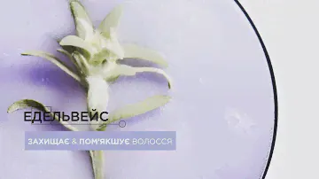 Kérastase Blond Absolu Cicaextreme: Science